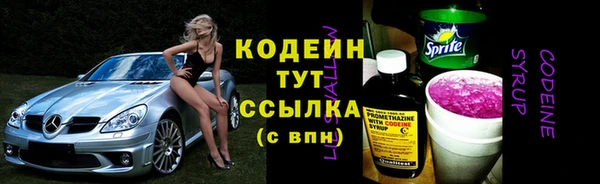 соль ск Менделеевск