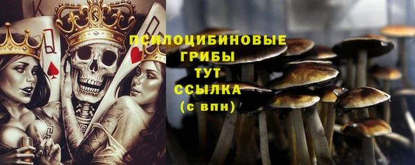 ALPHA PVP Алексеевка