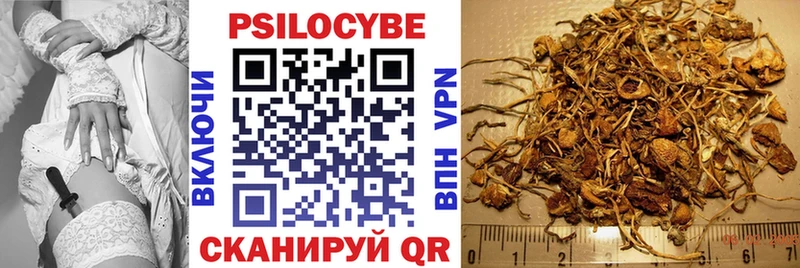 Галлюциногенные грибы MAGIC MUSHROOMS мега сайт Похвистнево