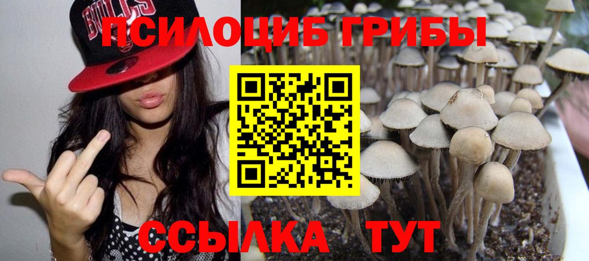 Псилоцибиновые грибы Cubensis  Вход с VPN  Похвистнево  где можно купить наркотик  Галлюциногенные грибы GOLDEN TEACHER 