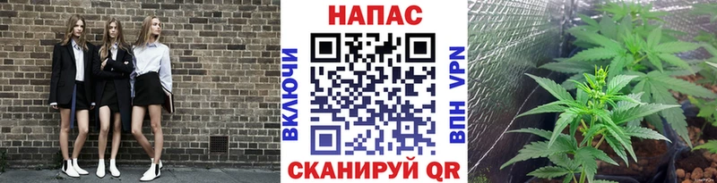 Канабис ГИДРОПОН Похвистнево